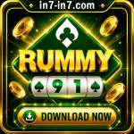 Rummy 91 Game icon