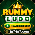 Rummy Ludo Game icon